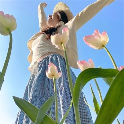 野蛮大地海报